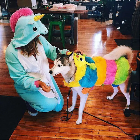 Ragazza indossa un Kigurumi Unicorno Blu con un cane